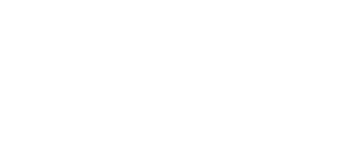 디자IN
